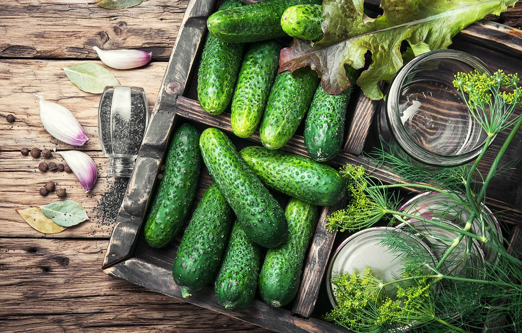The cucumber is a fruit